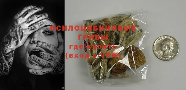дурь Алексин
