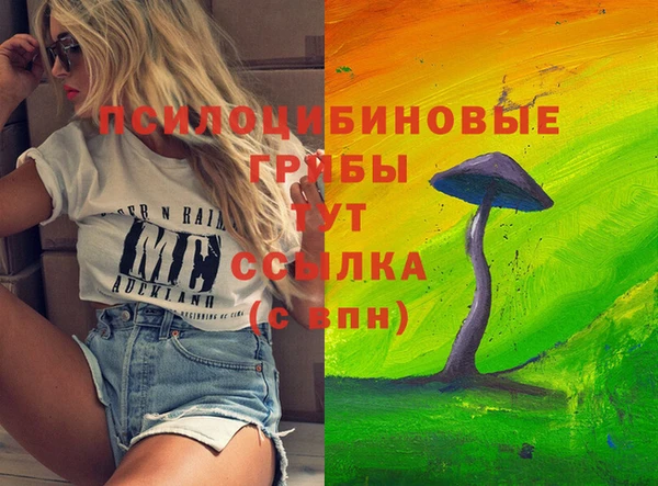 дурь Алексин