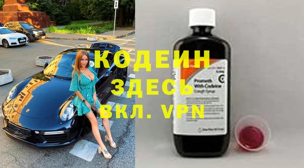 дурь Алексин