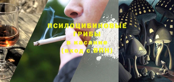 ешки Алзамай