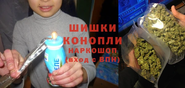 ешки Алзамай