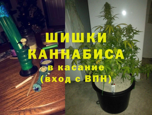 дурь Алексин