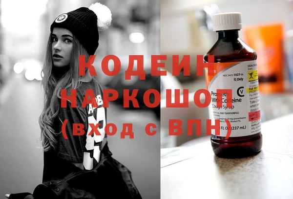 шишки Няндома