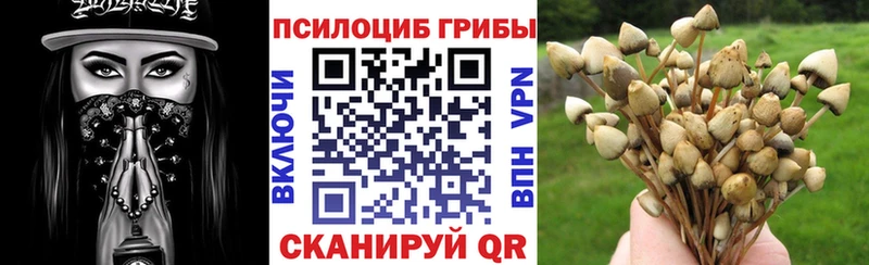 Галлюциногенные грибы Cubensis  Саров 
